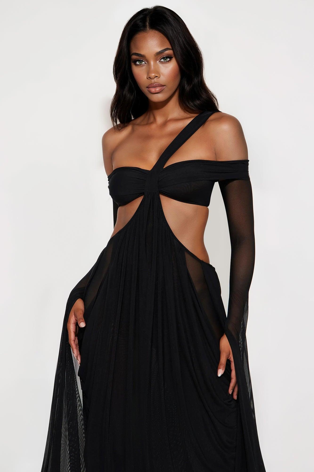 Alora Mesh Maxi Dress - Black Product Image