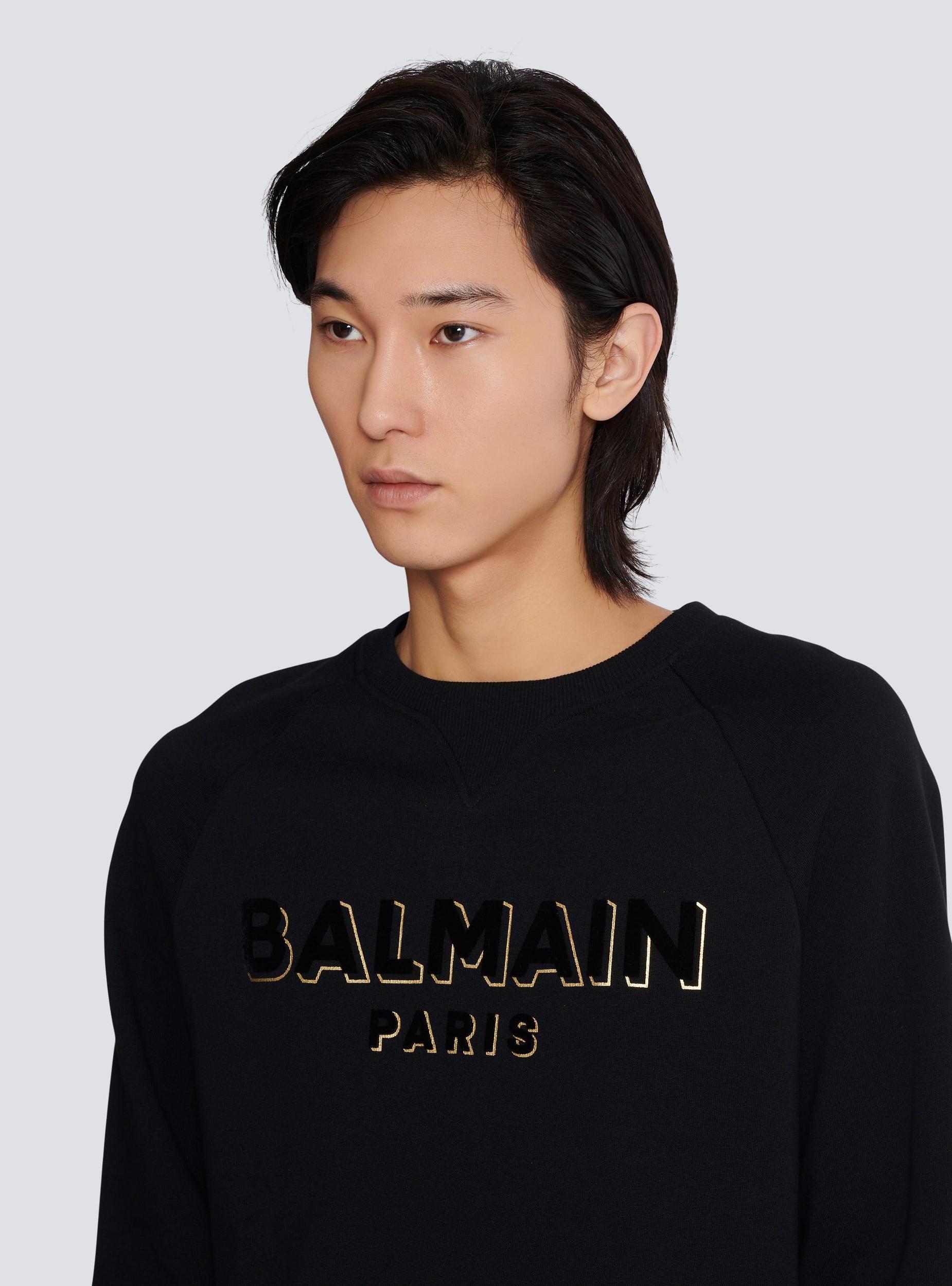 Metallic flocked Balmain sweatshirt Product Image