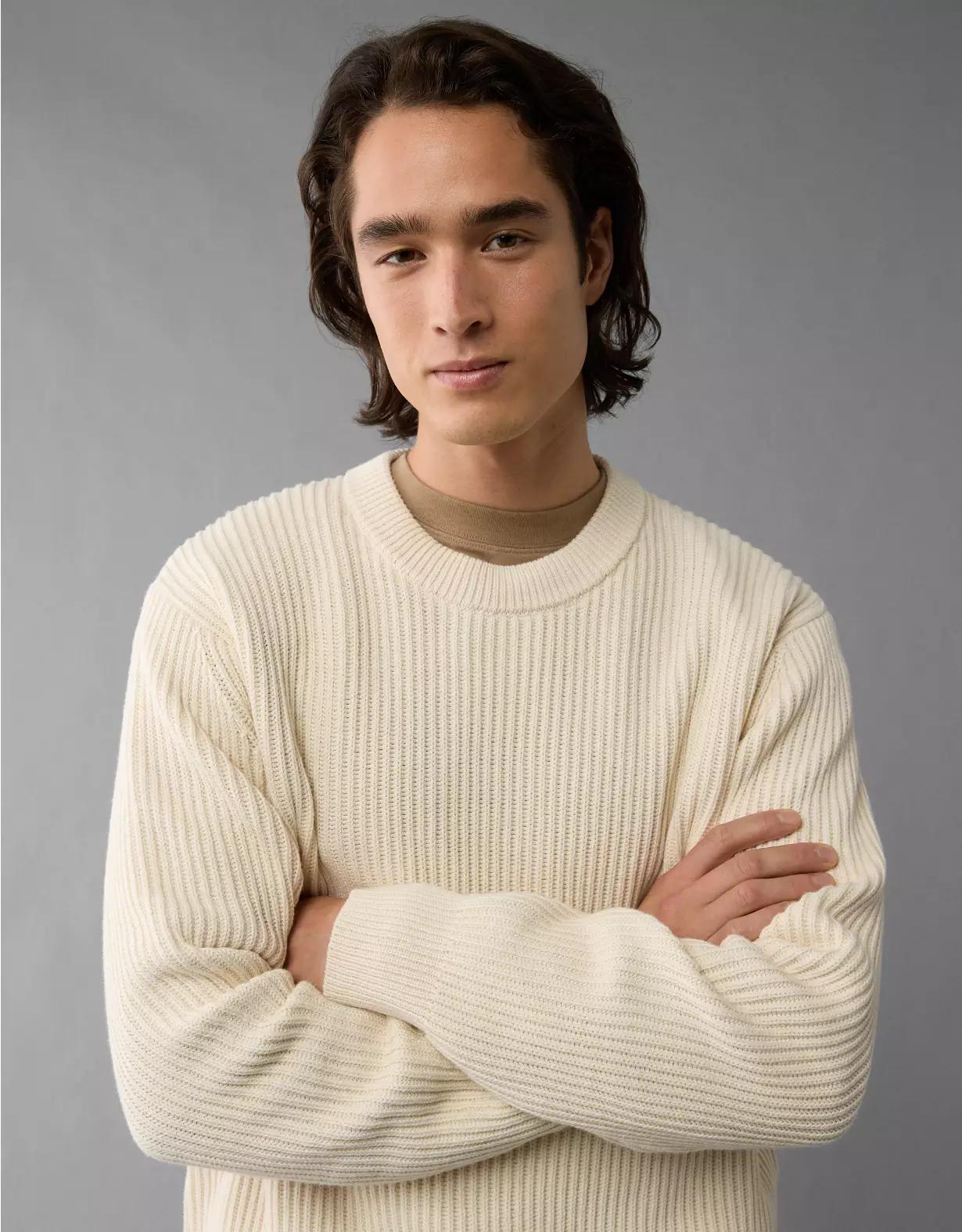 AE Shaker Stitch Crew Neck Sweater Product Image