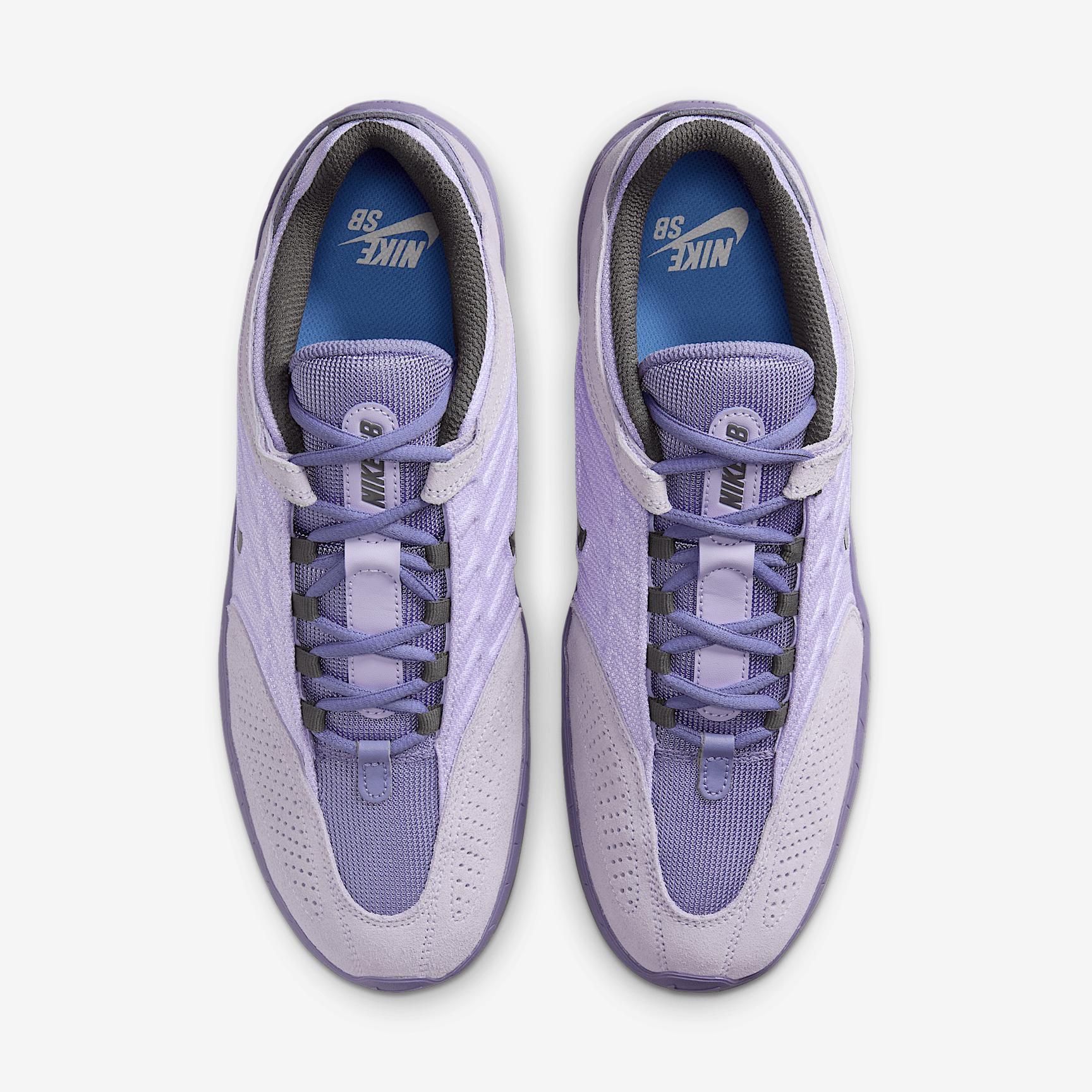 Men's Nike SB Vertebrae Shoes Product Image