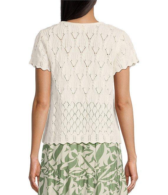 I.N. San Francisco Pointelle Scallop Edge Round Neck Short Sleeve Tie Front Sweater Product Image