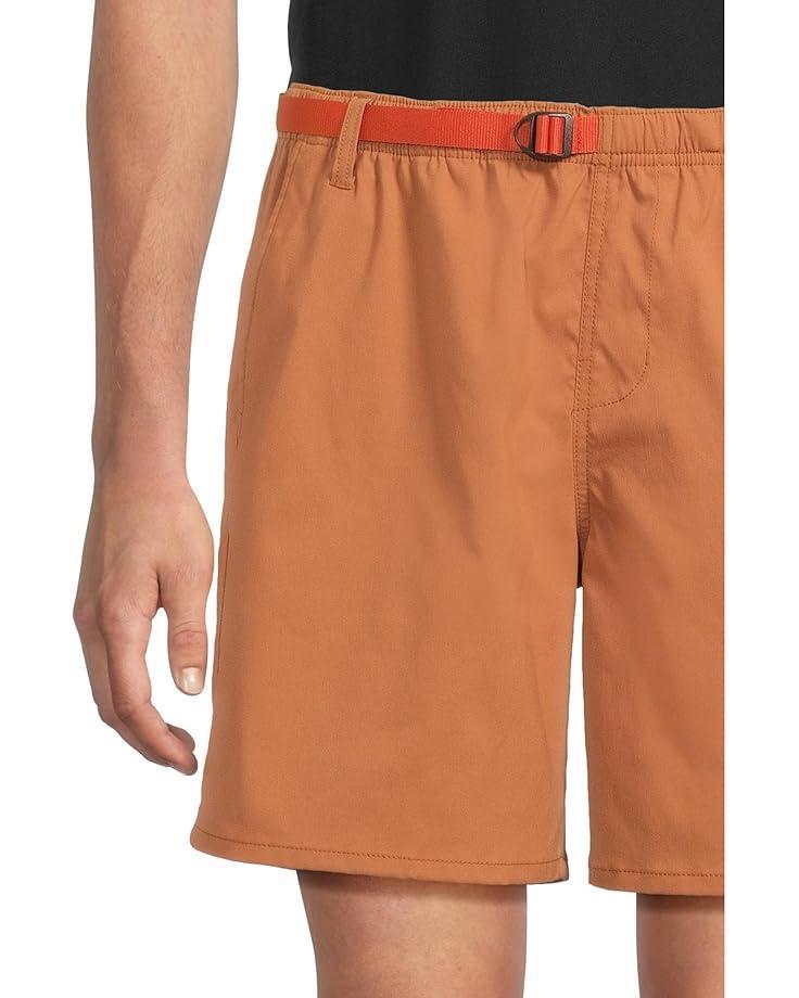 Stretch Zion Shorts Product Image