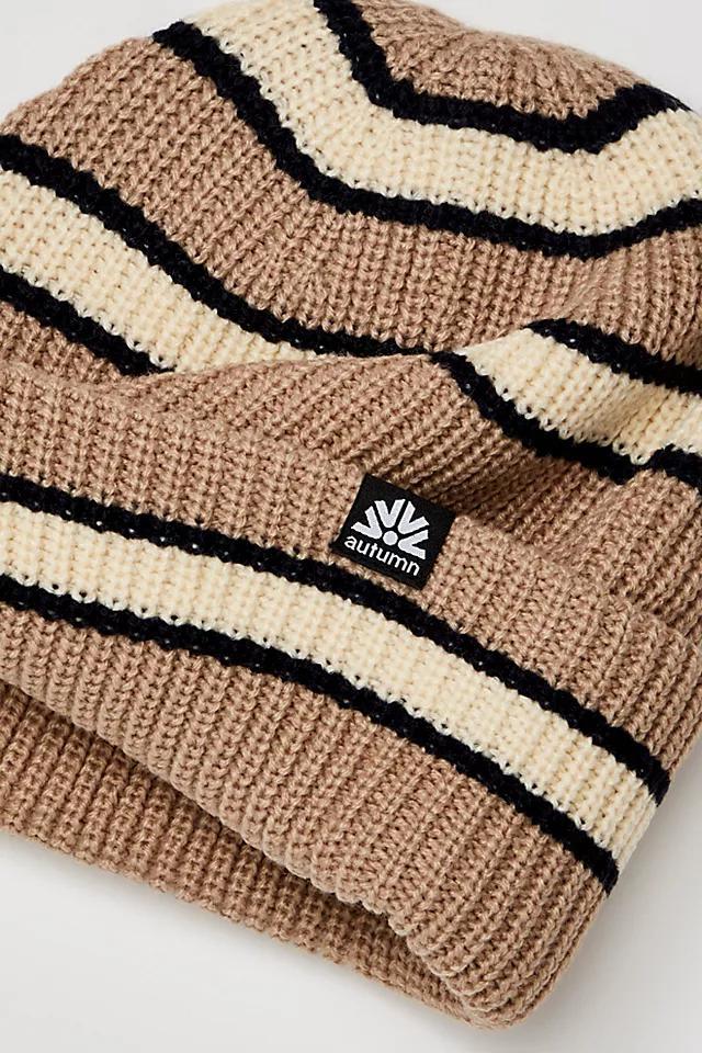 Slacker Striped Beanie Product Image