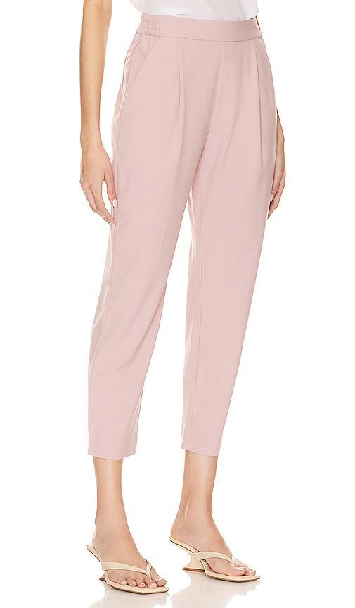 Aleida Tri Trouser ALLSAINTS Product Image