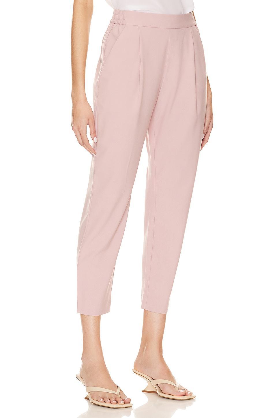 Aleida Tri Trouser ALLSAINTS Product Image