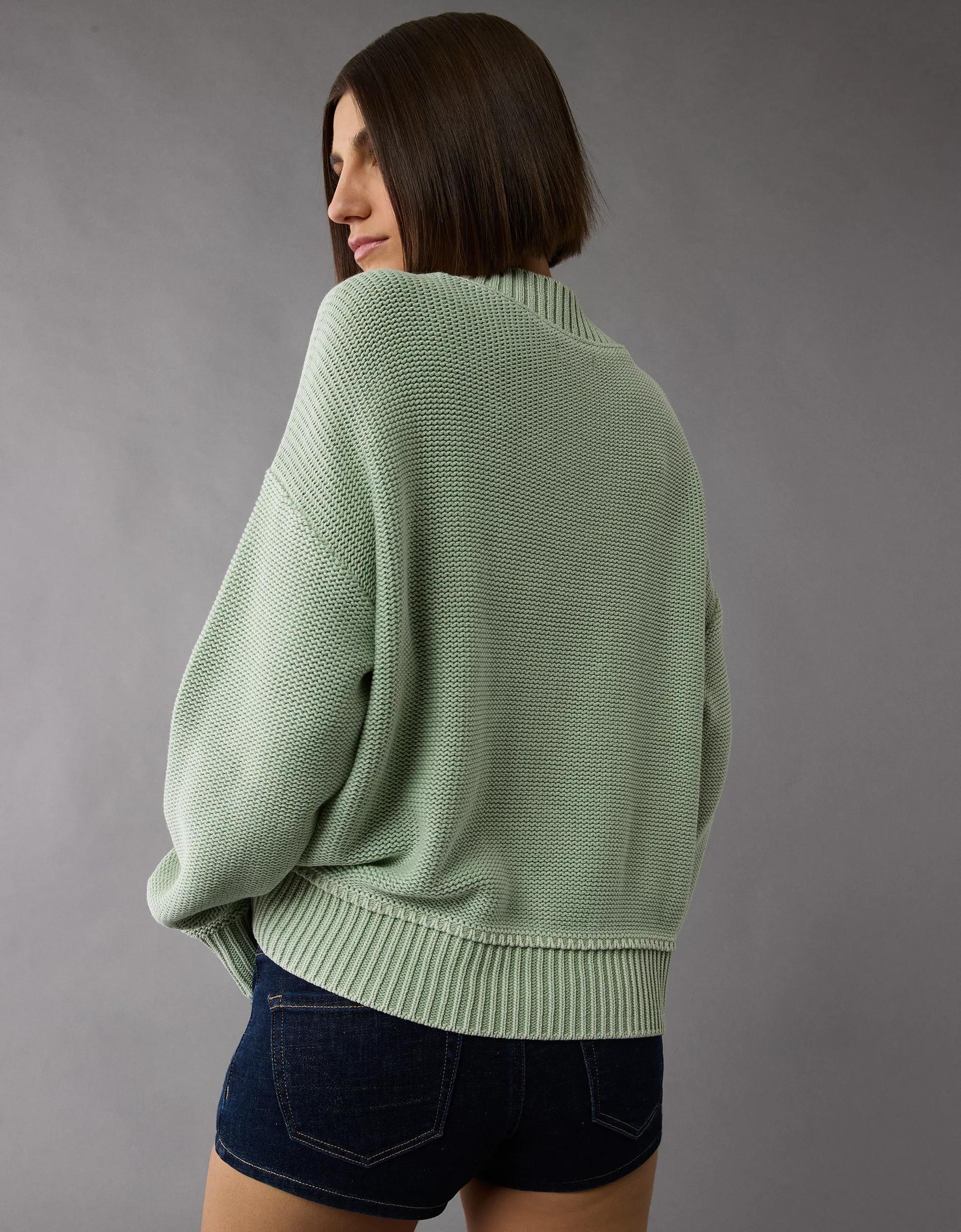 AE Long Weekend V-Neck Sweater Product Image