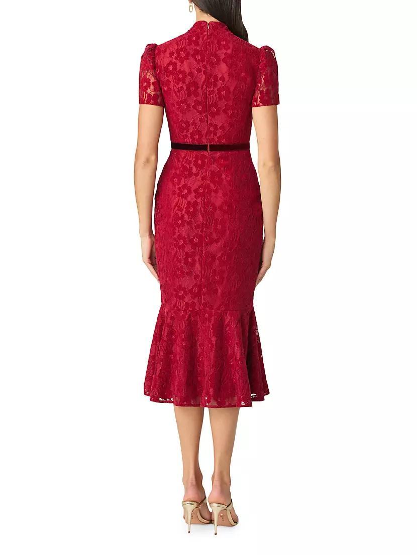 Pierre Lace Fit-And-Flare Midi-Dress Product Image