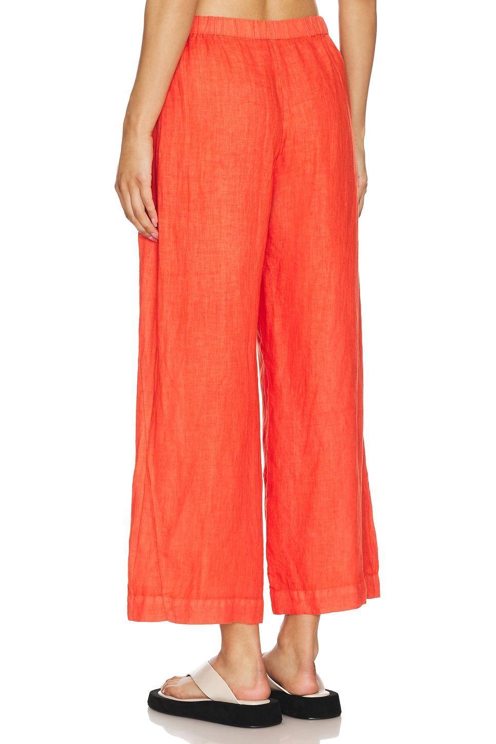 Lola Pant Velvet by Graham & Spencer Product Image