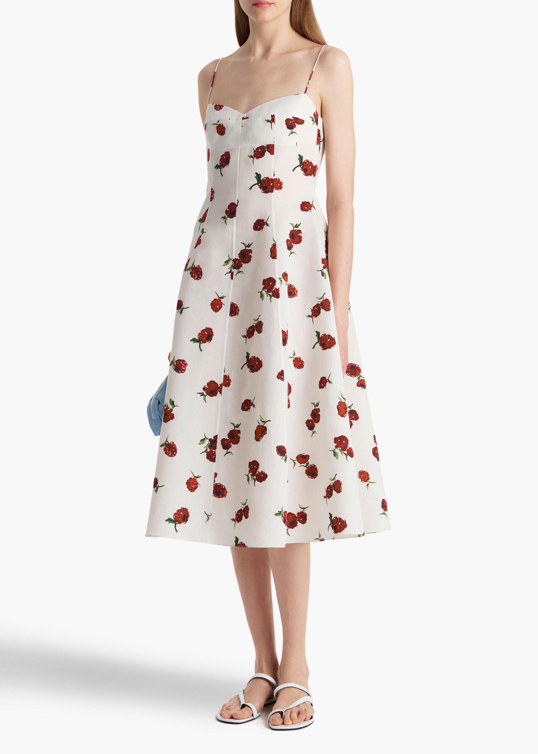 Isabella Dress in Cream with Raspberry Print Product Image