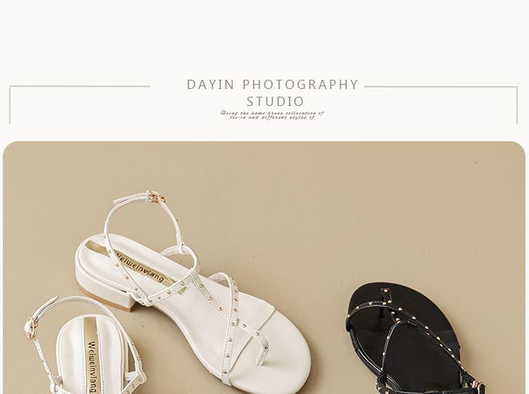 Studded Toe Loop Sandals Product Image