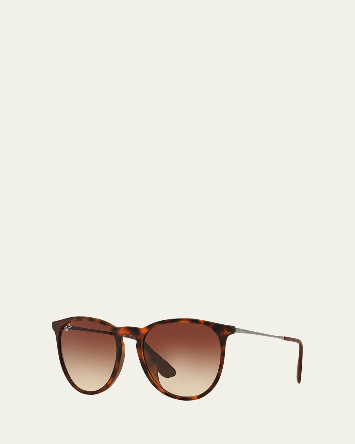 Ray-Ban Erika Classic Sunglasses Frame Brown Lenses Product Image