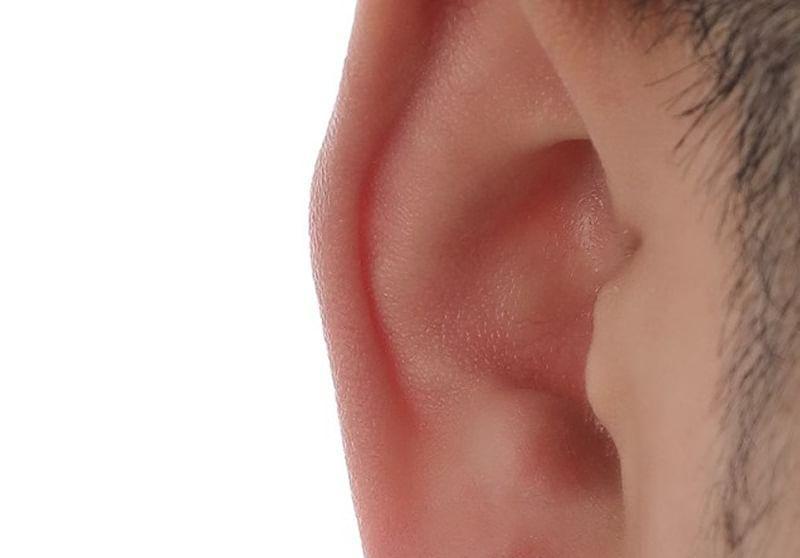 Rhinestone Stud Earring Product Image