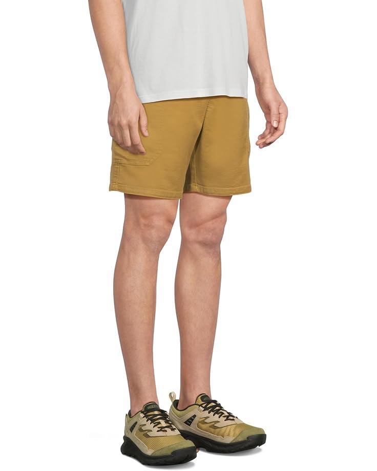 Stretch Zion Shorts Product Image