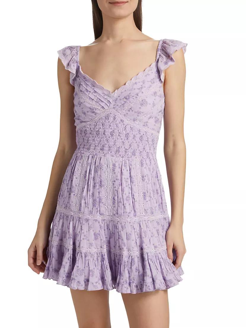 Victorian Presline Minidress Product Image