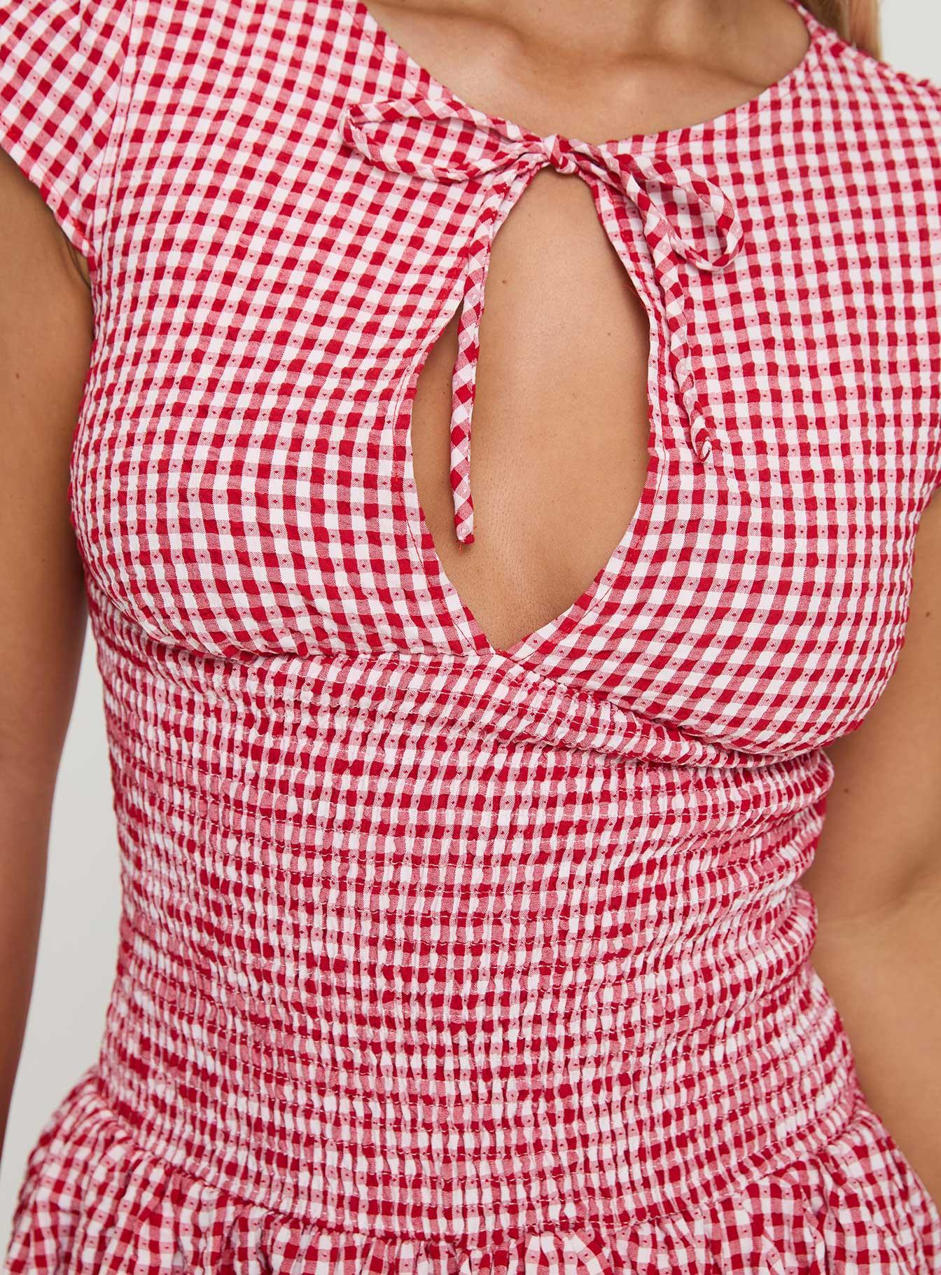 Ladybug Gingham Mini Dress Red Petite Product Image