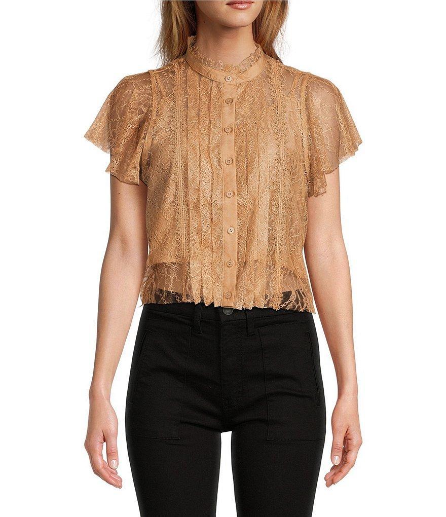 Lucy Paris Dutchess Lace Banded Collar Neck Short Sleeve Button Front Top Product Image
