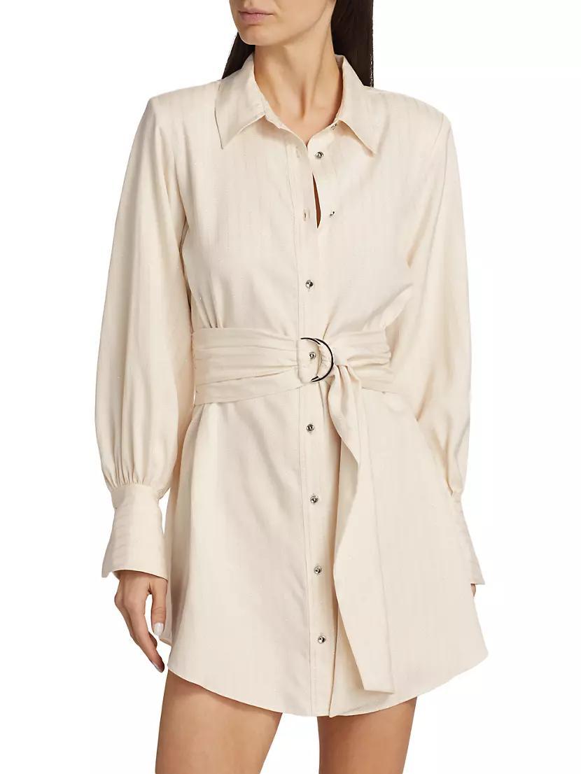 Nellie Pinstriped Shirtdress Product Image