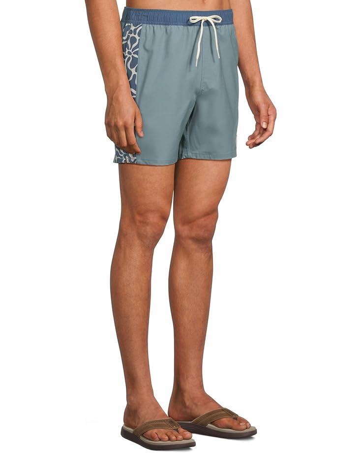 Hermosa Side Panel Ew 17 Boardshorts Product Image
