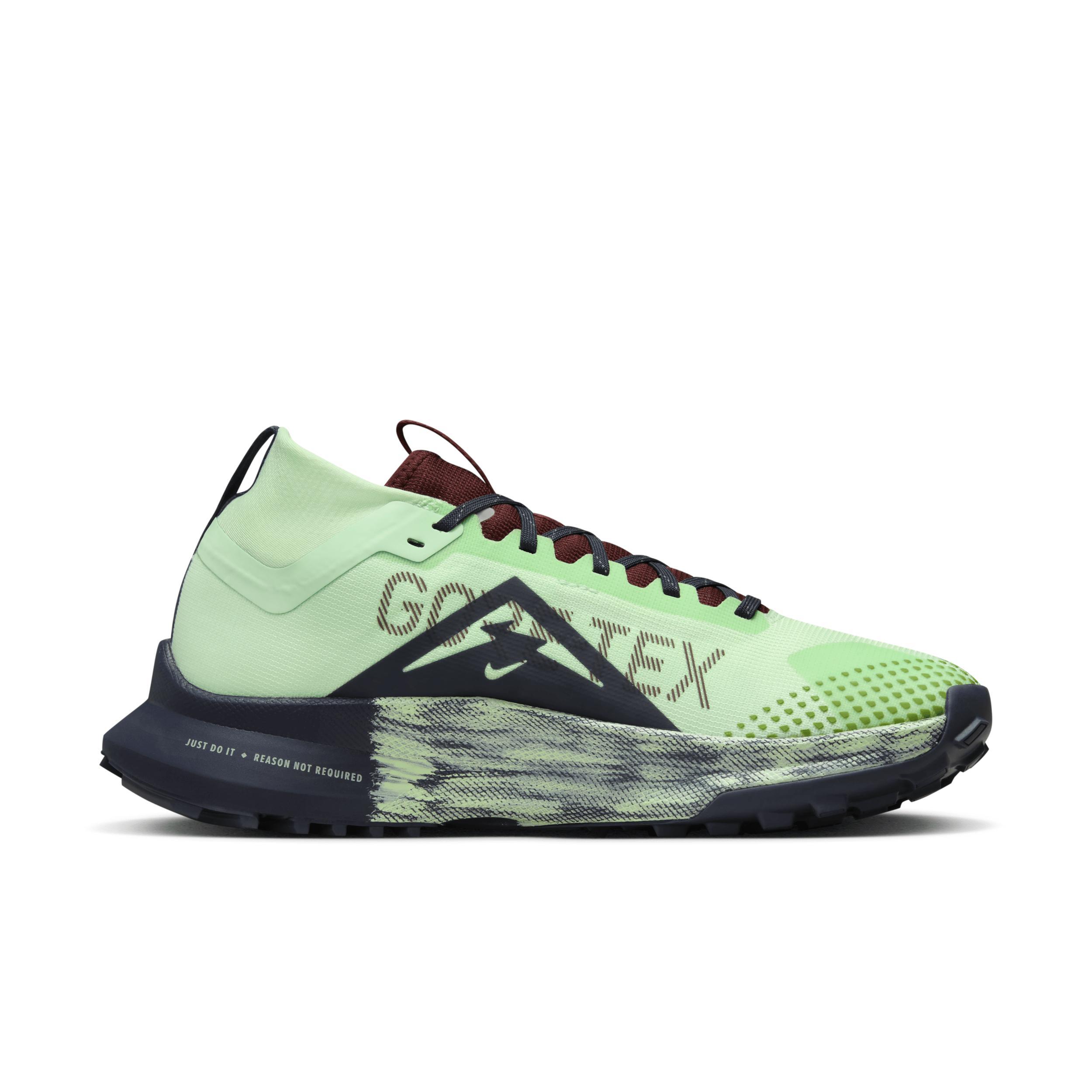 Nike Pegasus Trail 4 GORE-TEX Women's Waterproof Trail Running Shoes Product Image