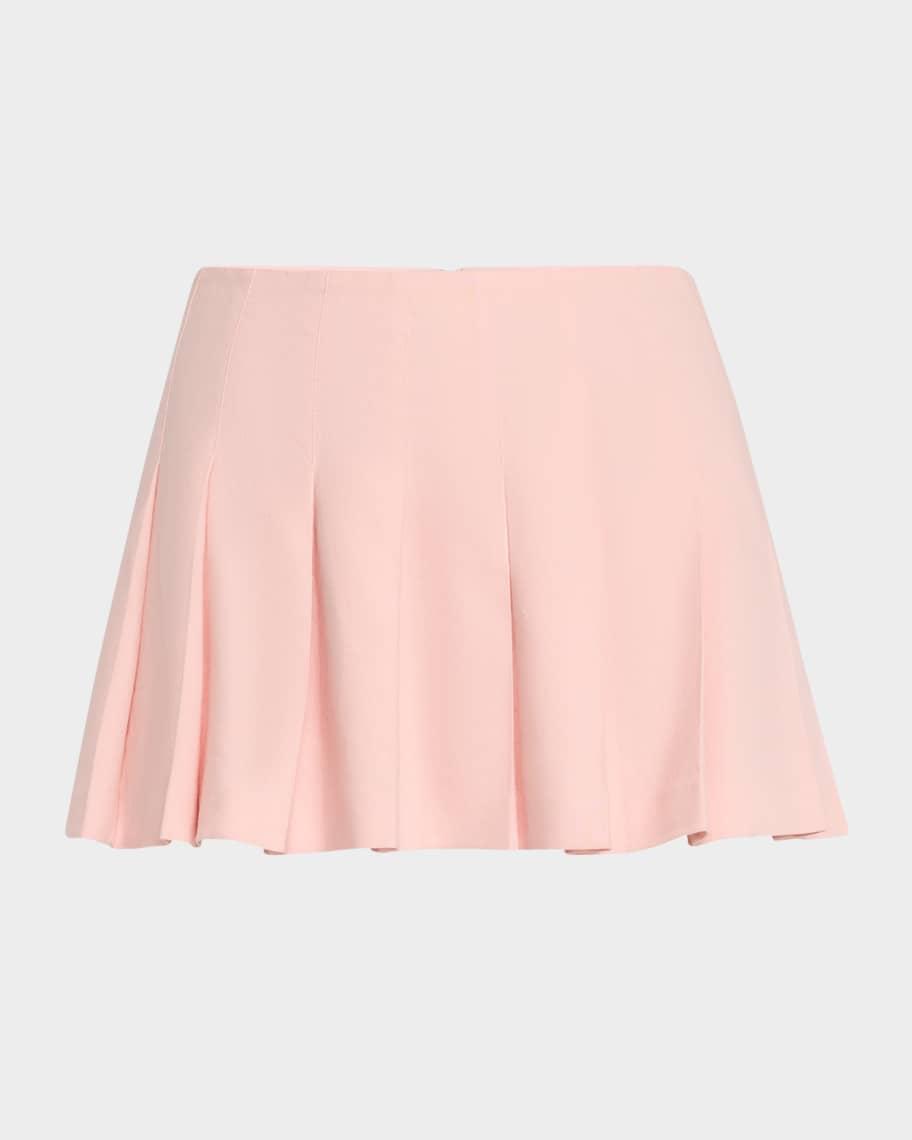 Carter Low-Rise Pleated Mini Skirt Product Image
