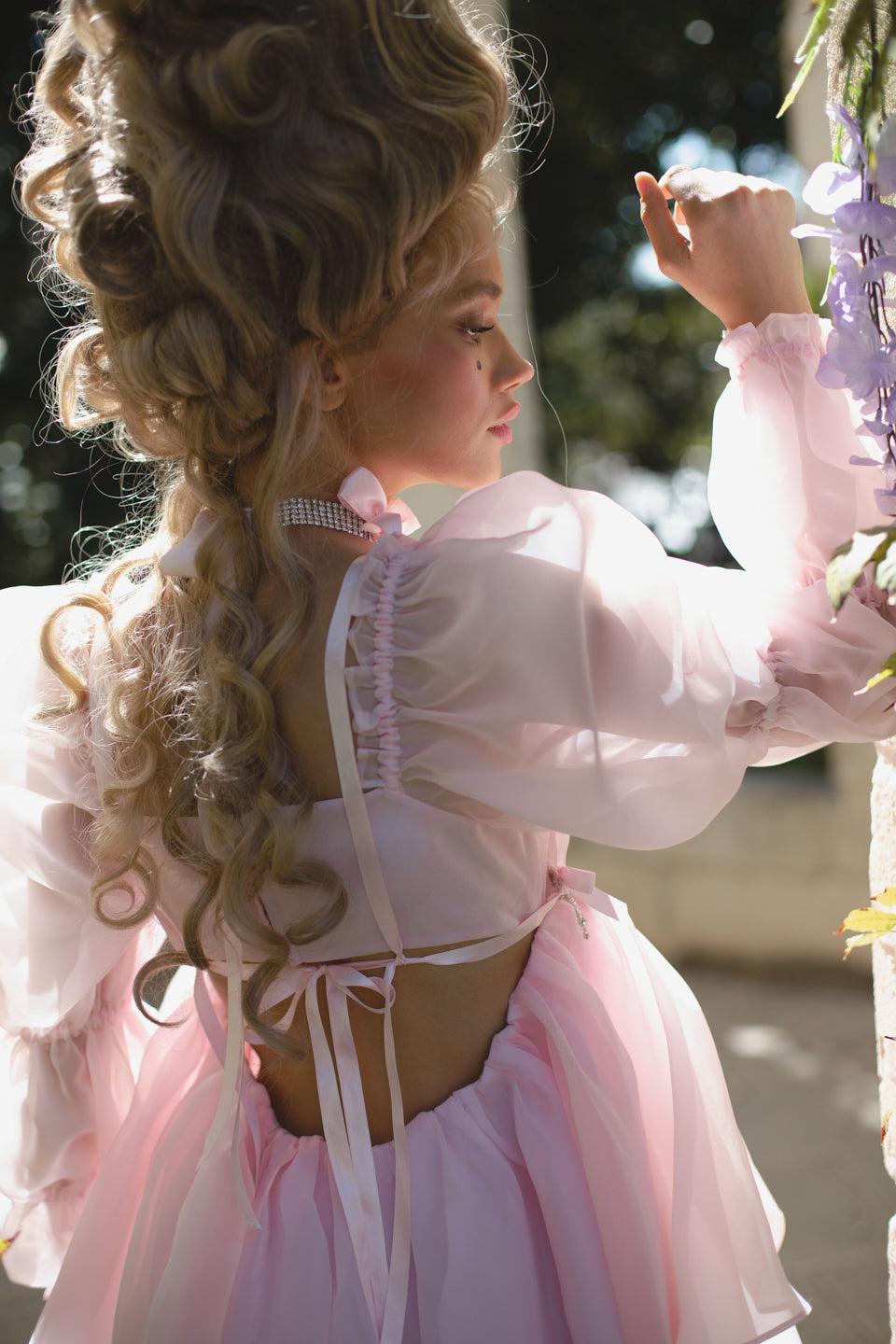 The Ballerina Moonlight Dress Product Image