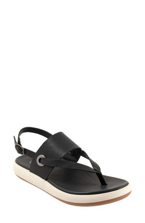SoftWalk Joliet Women's Sandals Product Image