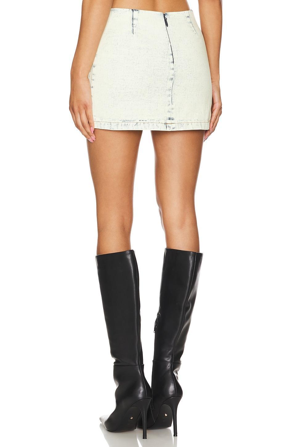 Monica Mini Skirt BY.DYLN Product Image