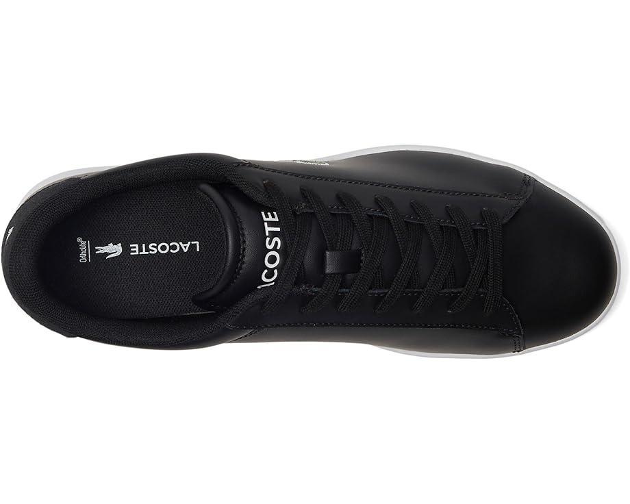Dorian Lace-Up Sneakers Product Image