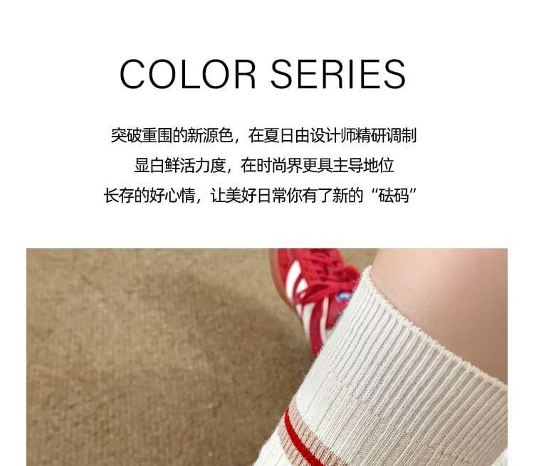 Dog Embroidered Striped Ribbed Short Socks Set Product Image