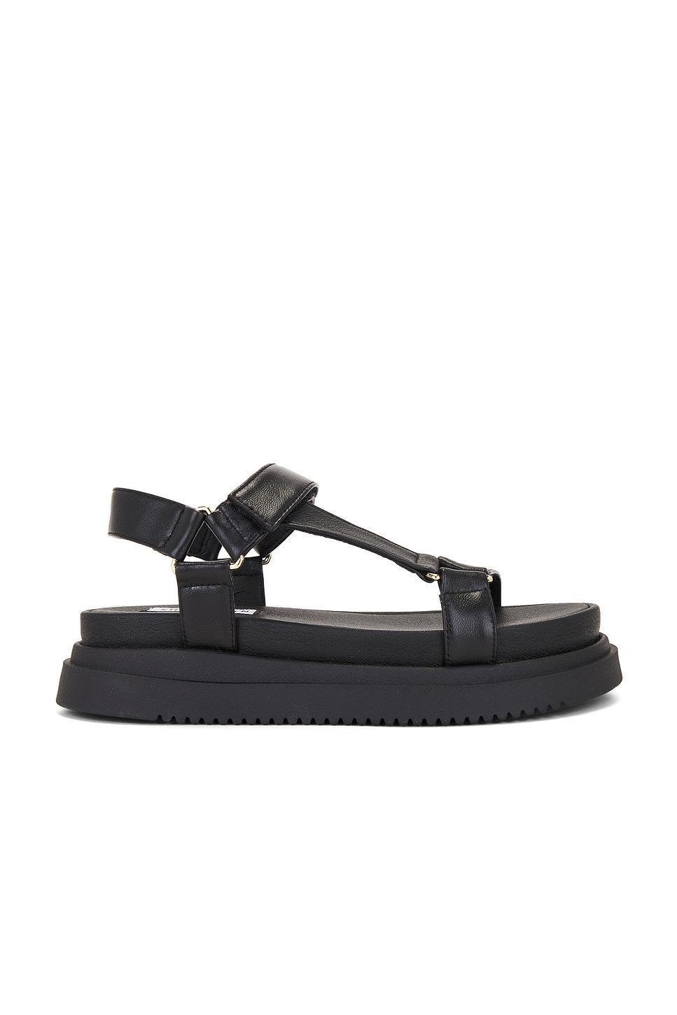 Matina Sandal Steve Madden Product Image