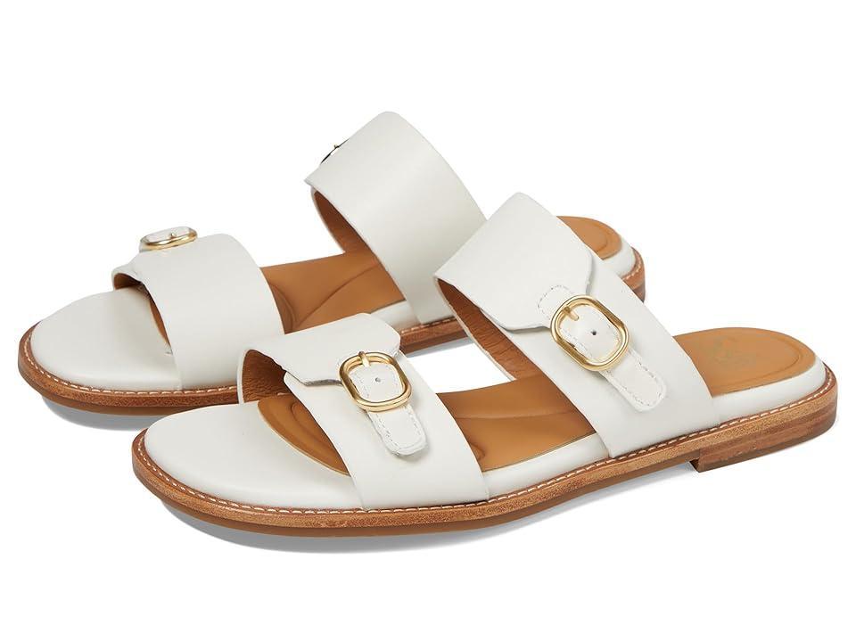 Sofft Noella Women's Sandals Product Image