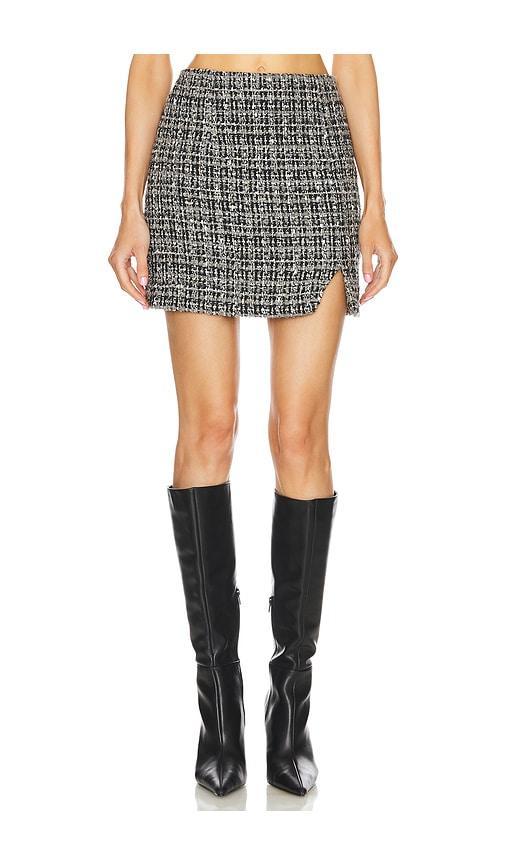 Bryan Skirt IRO Product Image