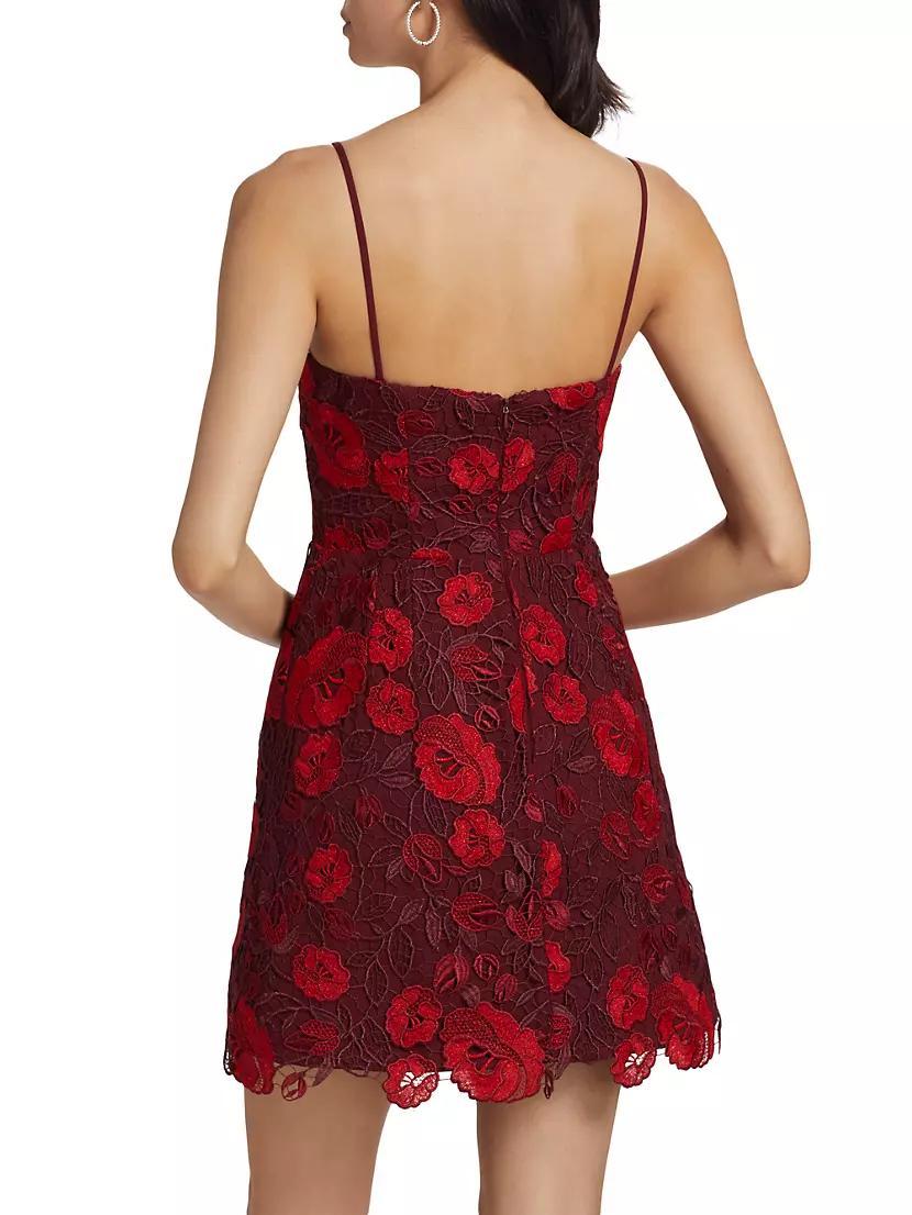 Arielle Metallic Lace Sleeveless Minidress Product Image
