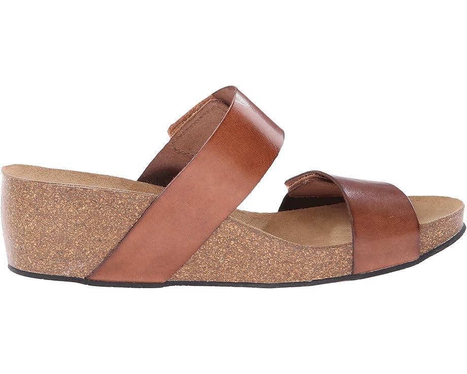 Lily 2 Product Image