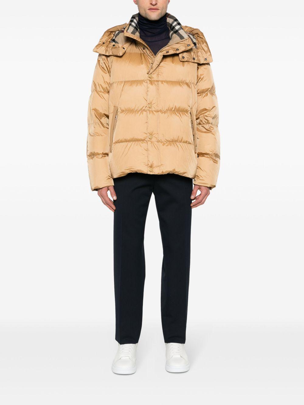 padded hooded jacket Product Image