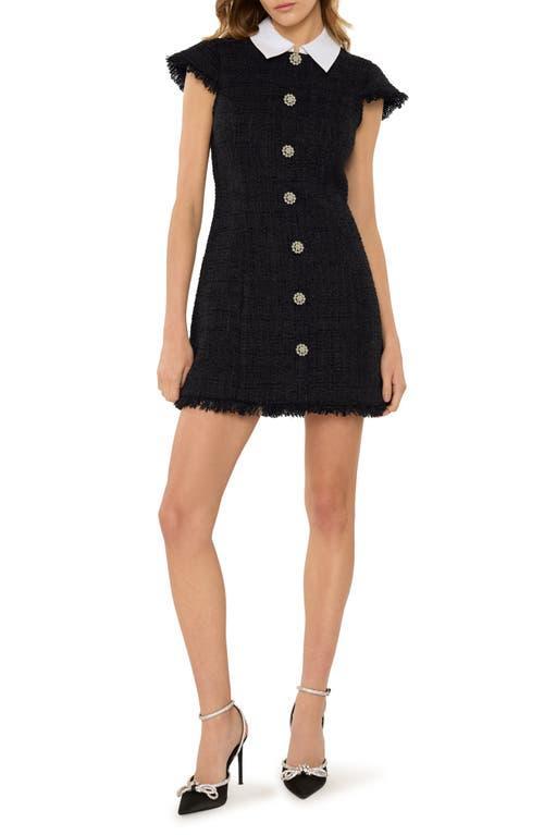 Womens Riello Collared Tweed Minidress Product Image
