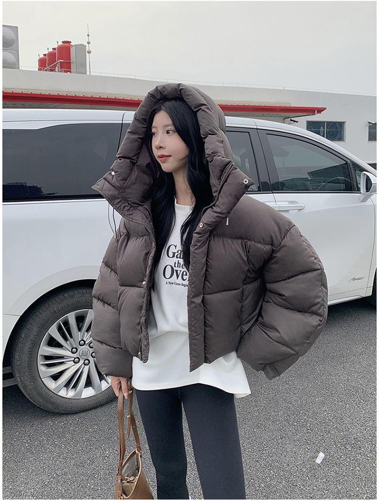 Plain Hooded Zip-Up Crop Puffer Jacket Product Image