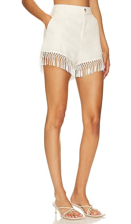 Semaj Short CAMI NYC Product Image