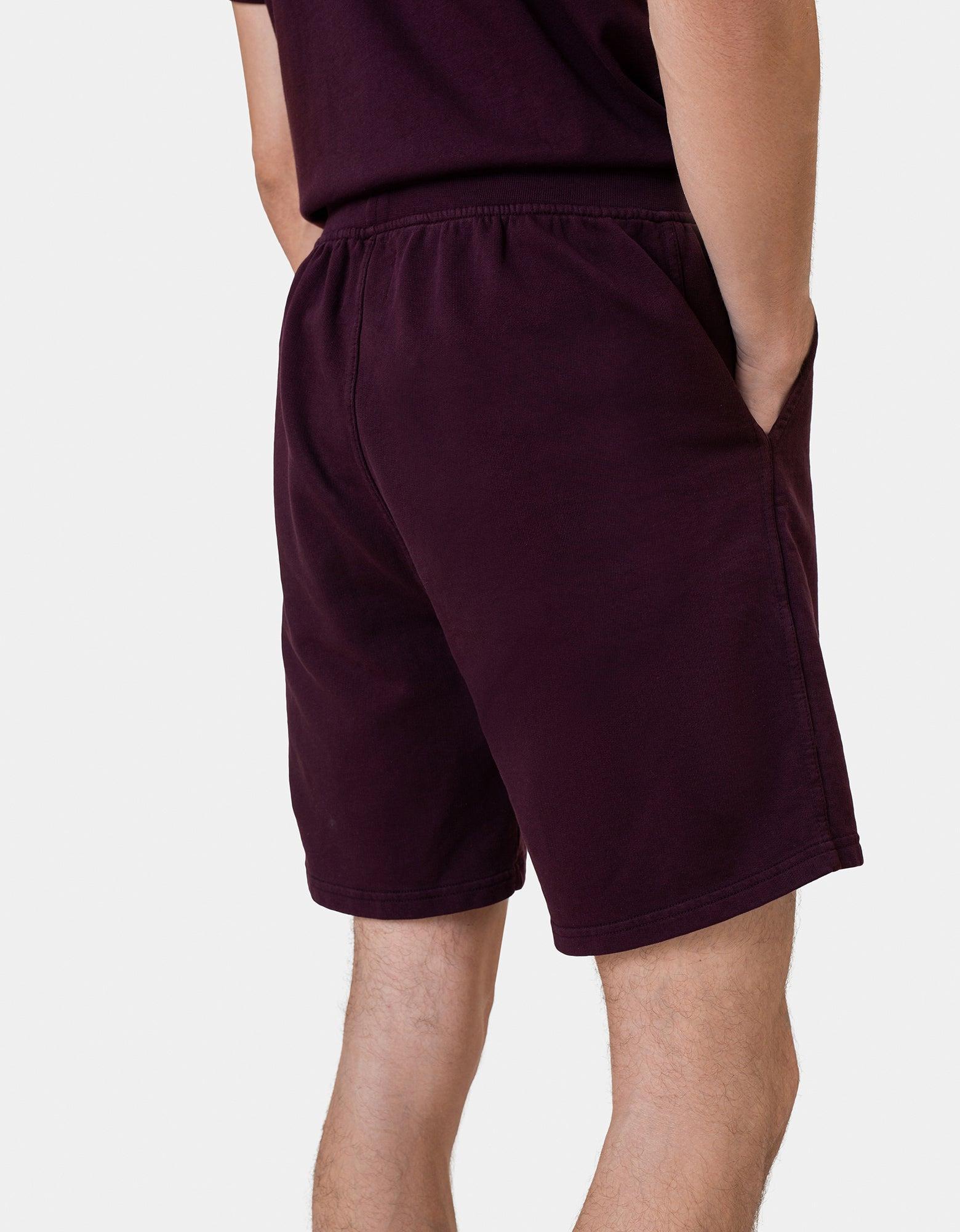 Classic Organic Sweatshorts - Powder Blue Product Image