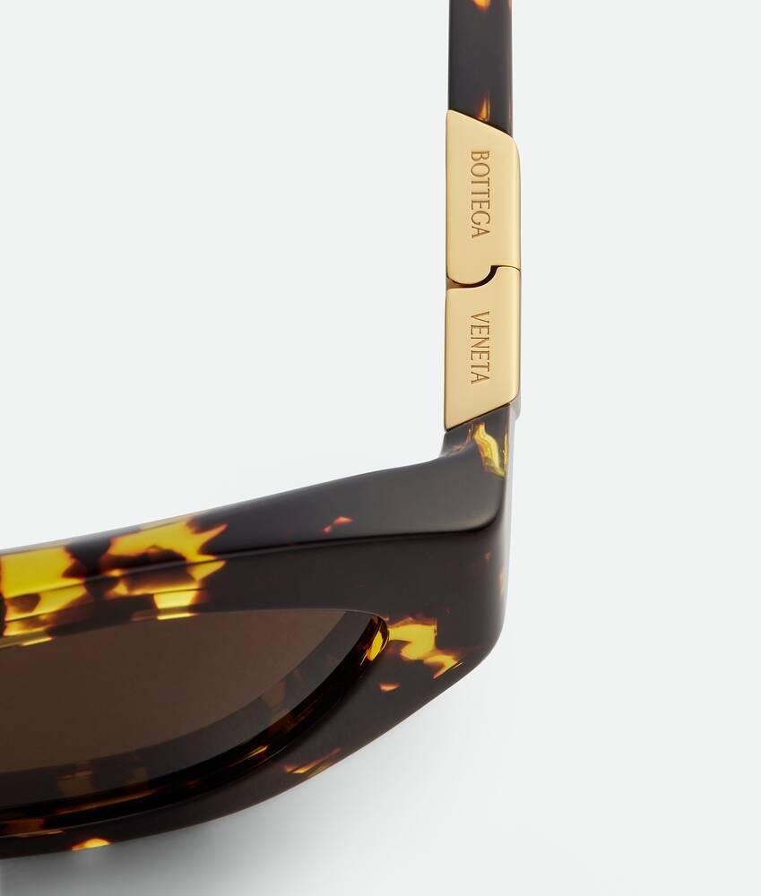 Reace Oval Sunglasses in Multicolor/brown Product Image