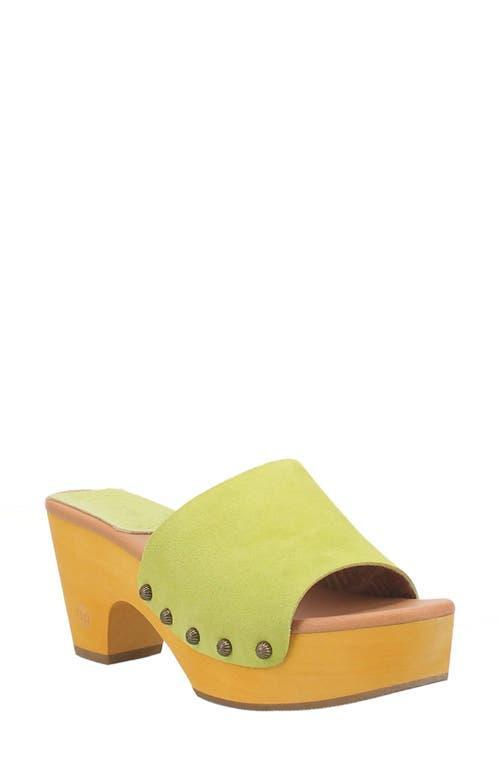 Dingo Beechwood Women's Suede Platform Sandals, Size: 8, Brown Product Image