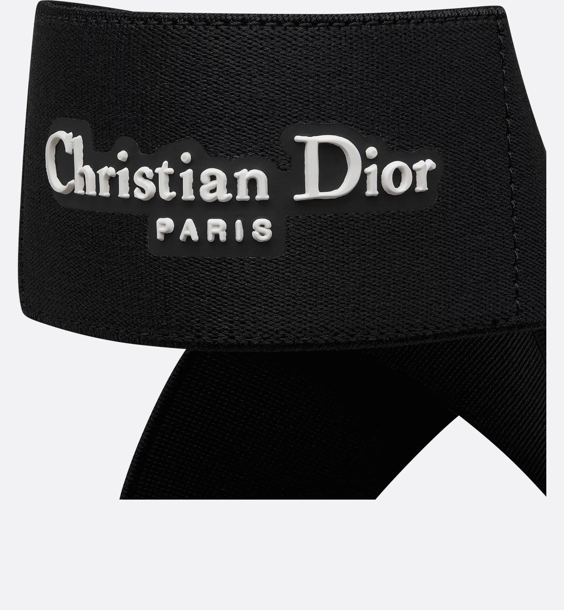 Dior Shade Ballet Flat Product Image