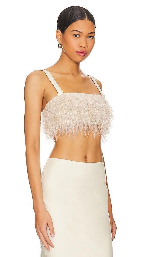 Anika Top Product Image