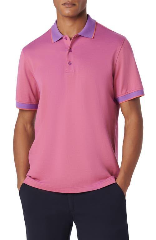 Mens 3-Button Cotton Polo Shirt Product Image