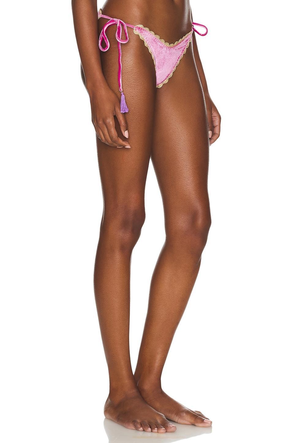Lia Bikini Bottom Capittana Product Image