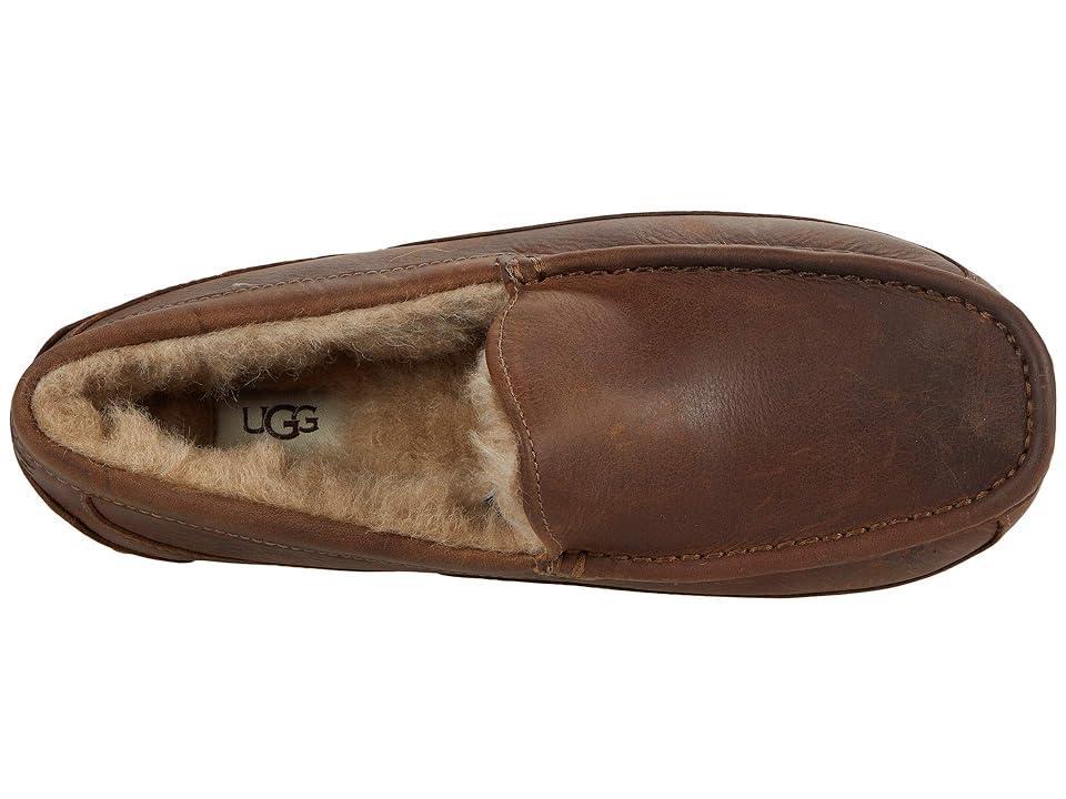 UGG Mens Ascot Leather Slip Product Image