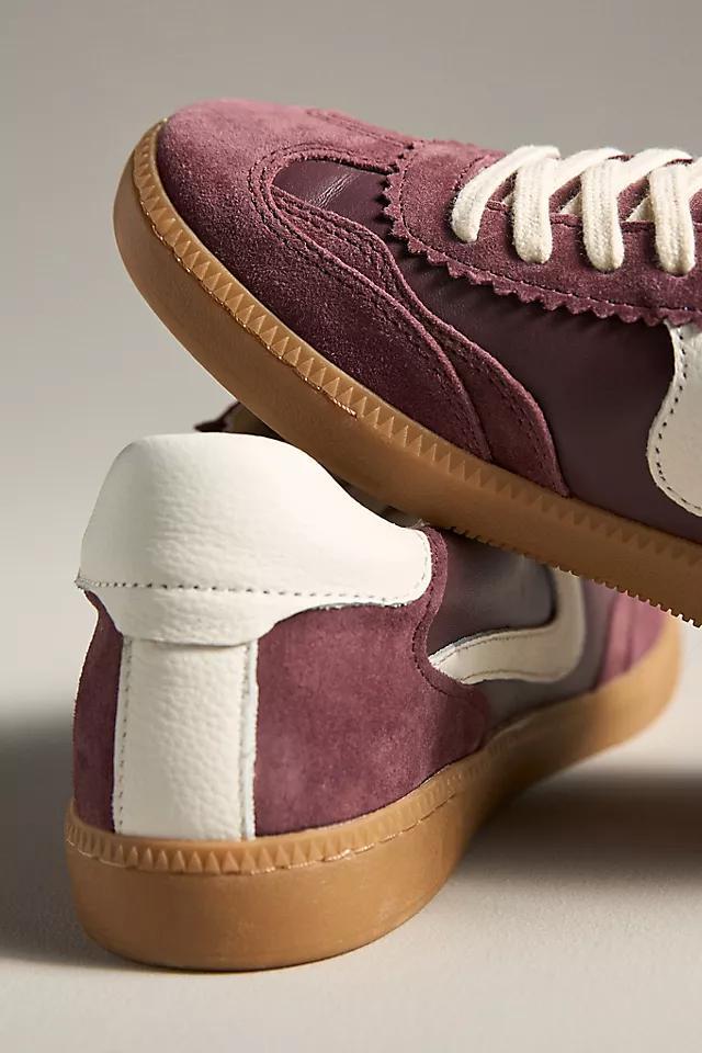 Dolce Vita Notice Sneakers Product Image