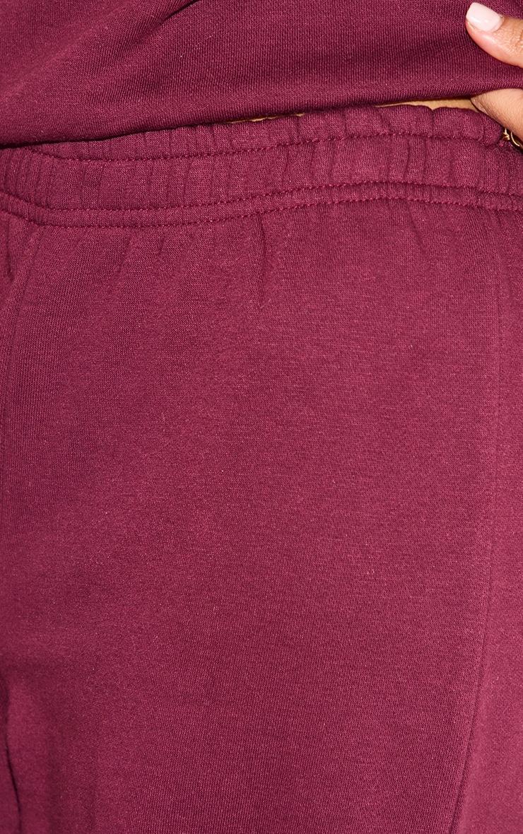 Petite Burgundy Straight Leg Sweatpants Product Image
