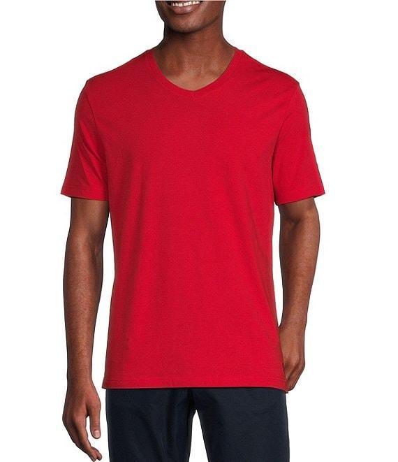 Cremieux Blue Label Jersey Knit Short Sleeve V-Neck T-Shirt Product Image
