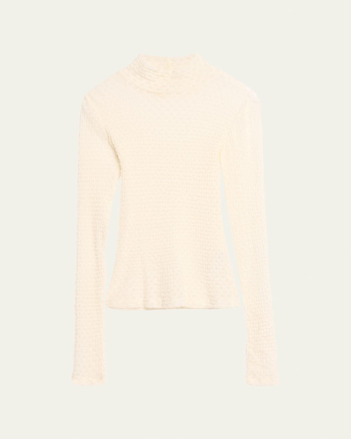 Frame Mesh Lace Turtleneck Top Product Image